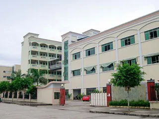 Stamping Metal Shrapnel Brass Copper Electric Contacts Spring Contacts for PCB 